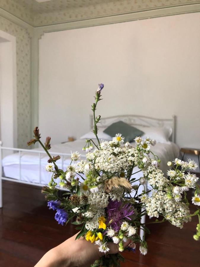 Texas House Guest House Novaci-Straini Ngoại thất bức ảnh